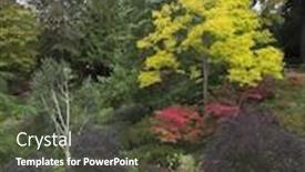  Presentation with tourists - Beautiful slide set featuring path-for-tourists-among-blossoming backdrop and a tawny brown colored foreground
