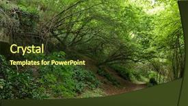  Presentation with path - Amazing slide set having path in a hornbeam temperate backdrop and a tawny brown colored foreground