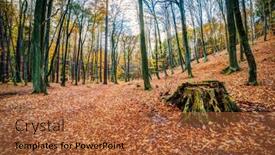  Presentation with oak forest - Theme having path-in-autumn-beech background and a red colored foreground