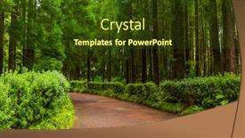  Presentation with rainforest - PPT theme with path-in-azorean-forest background and a tawny brown colored foreground