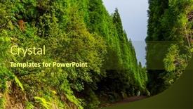  Presentation with blue green - Slide deck featuring path-in-azorean-forest background and a tawny brown colored foreground