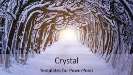  Presentation with dark forest - Slide set enhanced with path in dark forest background and a light blue colored foreground