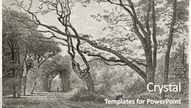  Presentation with tour - Slide deck with path in fontainebleau forest old background and a gray colored foreground