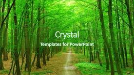  Presentation with path - Slides enhanced with path in green forest background and a forest green colored foreground