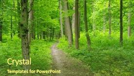  Presentation with abstract green forest - Presentation theme consisting of path in spring green forest background and a  colored foreground