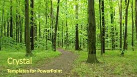  Presentation with path - Audience pleasing PPT theme consisting of path in spring green forest backdrop and a tawny brown colored foreground