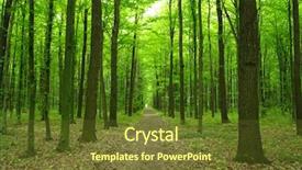  Presentation with path - Audience pleasing PPT layouts consisting of path in spring green forest backdrop and a tawny brown colored foreground