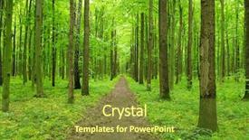  Presentation with path - Theme having path in spring green forest background and a tawny brown colored foreground