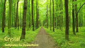  Presentation with path - Slide set with path in spring green forest background and a  colored foreground
