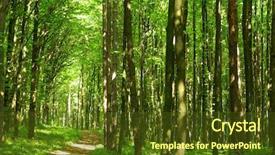  Presentation with mountains forests green forest - Slides consisting of path in summer green forest background and a  colored foreground