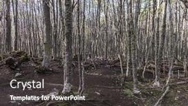  Presentation with antarctic - Cool new theme with path-in-the-middle backdrop and a dark gray colored foreground