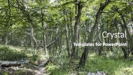  Presentation with antarctic - Presentation theme having path-in-the-middle background and a tawny brown colored foreground