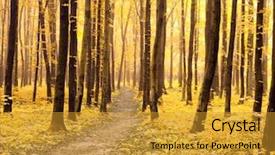  Presentation with guidance questions and career path - Colorful theme enhanced with path is in the autumn backdrop and a  colored foreground