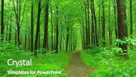  Presentation with path - Beautiful presentation design featuring path is in the green backdrop and a shamrock green colored foreground