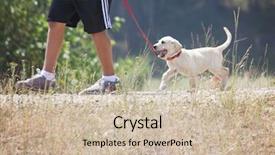  Presentation with leash - Colorful slide set enhanced with path lab - young boy taking a small backdrop and a soft green colored foreground