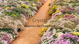  Presentation with path - Slide set with path-leading-through-a-collection background and a coral colored foreground