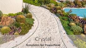  Presentation with succulents - PPT layouts having path-leading-through-a-flower background and a lemonade colored foreground