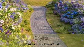  Presentation with path - Colorful slide set enhanced with path-leading-through-a-flower backdrop and a gold colored foreground