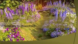  Presentation with path - Slide deck having path-leading-through-a-flower background and a gold colored foreground