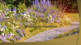  Presentation with path - Audience pleasing PPT theme consisting of path-leading-through-a-flower backdrop and a gold colored foreground