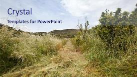  Presentation with path - Audience pleasing slides consisting of path mown through long grass backdrop and a sky blue colored foreground