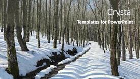  Presentation with forest winter - Presentation design enhanced with path-snow-covered-crosses-winter background and a dark gray colored foreground