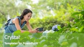  Presentation with phone - Colorful PPT theme enhanced with path social media - woman taking photo with mobile backdrop and a tawny brown colored foreground