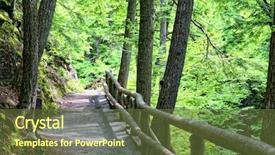  Presentation with path - Colorful slide deck enhanced with path through a forest park backdrop and a tawny brown colored foreground