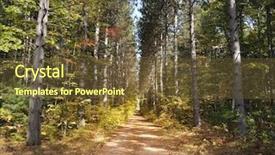  Presentation with pine trees - Audience pleasing theme consisting of path through tall pine trees backdrop and a tawny brown colored foreground