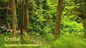 Presentation with british columbia - Audience pleasing presentation theme consisting of path through temperate rain forest backdrop and a tawny brown colored foreground