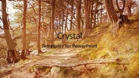  Presentation with cedar - PPT layouts with path through the cedar trees background and a gold colored foreground