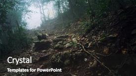  Presentation with mystic - Cool new theme with path through the forest backdrop and a dark gray colored foreground