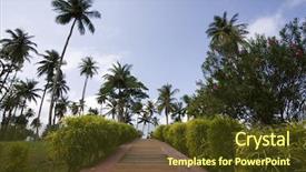  Presentation with path - Amazing theme having path to the tropical vacation backdrop and a  colored foreground