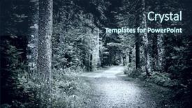  Presentation with dark forest - Beautiful presentation featuring path winding through dark moody backdrop and a navy blue colored foreground