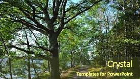  Presentation with sunshine - Colorful PPT layouts enhanced with path with green sprawling tree backdrop and a tawny brown colored foreground