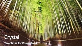  Presentation with kyoto - Slide set consisting of pather - bamboo forest of kyoto japan background and a tawny brown colored foreground