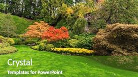  Presentation with colorful flower - Presentation design consisting of paths for tourists the world background and a tawny brown colored foreground