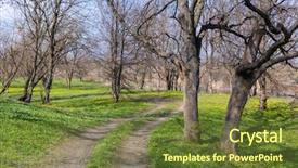  Presentation with oak forest - Colorful PPT theme enhanced with pathway among oak trees backdrop and a tawny brown colored foreground