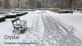  Presentation with pathway - PPT theme featuring snow storm new york - pathway in a park background and a light gray colored foreground
