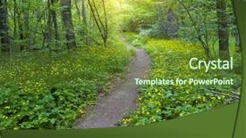  Presentation with pathway - Beautiful presentation theme featuring pathway in green forest backdrop and a tawny brown colored foreground