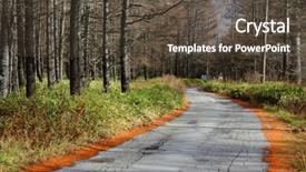  Presentation with pathway - Slide set enhanced with pathway in pine tree forest background and a tawny brown colored foreground