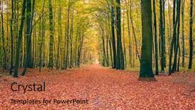  Presentation with pathway - Audience pleasing slide deck consisting of pathway in the autumn forest backdrop and a red colored foreground