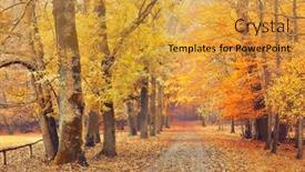  Presentation with pathway - Cool new PPT theme with pathway in the autumn forest backdrop and a gold colored foreground
