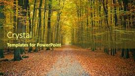  Presentation with pathway - Colorful theme enhanced with pathway in the autumn park backdrop and a tawny brown colored foreground