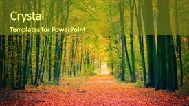  Presentation with pathway - Audience pleasing slide set consisting of pathway in the autumn park backdrop and a tawny brown colored foreground