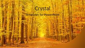  Presentation with pathway - Presentation enhanced with pathway in the autumn park background and a  colored foreground