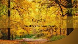  Presentation with pathway - Slide set featuring pathway in the bright autumn forest background and a gold colored foreground