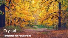  Presentation with pathway - Presentation theme featuring pathway-in-the-bright-autumn background and a tawny brown colored foreground