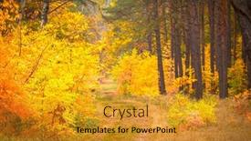  Presentation with pathway - Beautiful PPT theme featuring pathway in the forest at autumn backdrop and a gold colored foreground