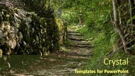 Presentation with pathway - Slides with pathway-in-the-forest background and a tawny brown colored foreground